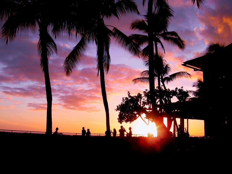夏季休業のお知らせ