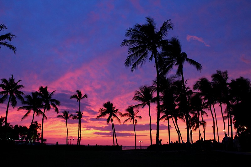 夏季休業のお知らせ
